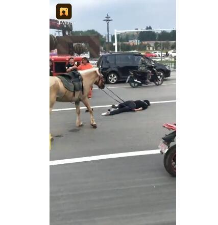 网红骑马爆料视频,揭秘马术运动的魅力与挑战  第3张