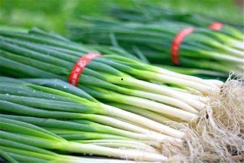 读我心声吃大瓜魏思瑶免费全集,魏思瑶免费全集，揭秘情感纠葛与成长历程  第1张