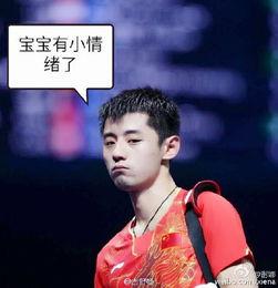 杨蓉爆料张继科视频,事件背后真相揭秘  第1张