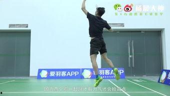 杨晨大神爆料羽毛球视频,羽毛球高手实战技巧全解析  第3张