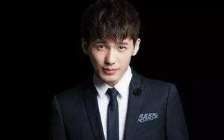 圈内爆料黄子韬鹿晗,揭秘昔日兄弟情深背后的真相  第3张